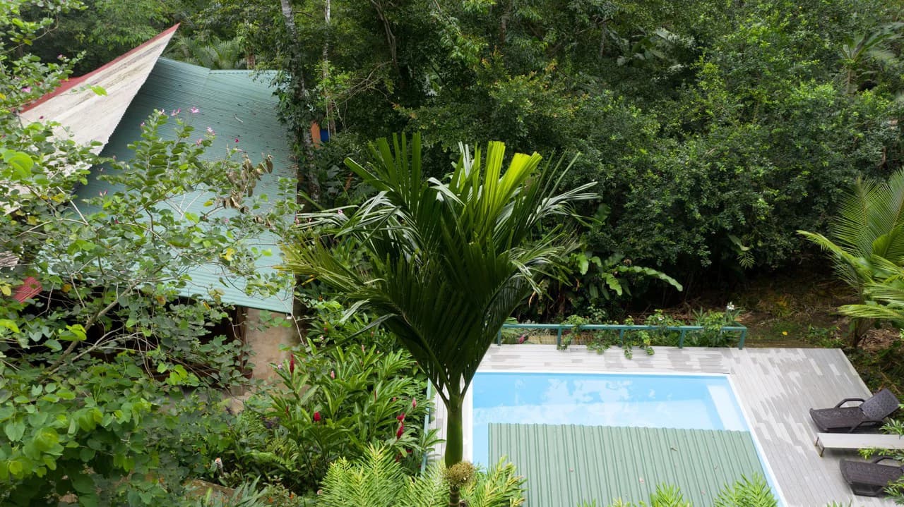 4 Bd/3 Ba - Two Caribbean Homes w/ Pool, on 5000m²: Dual Home Jungle Property in Punta Uva - photo 28