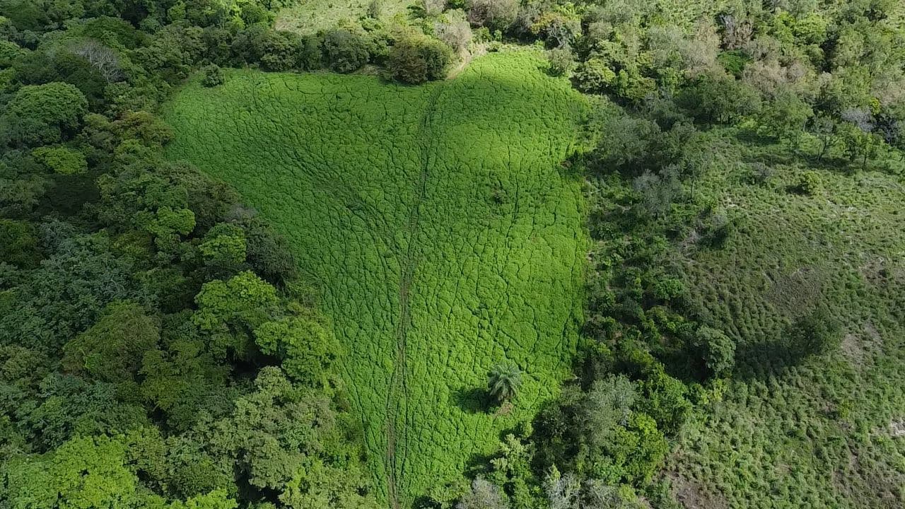Riverfront, Mountain and Countryside Agricultural Land For Sale in Cañas Dulces