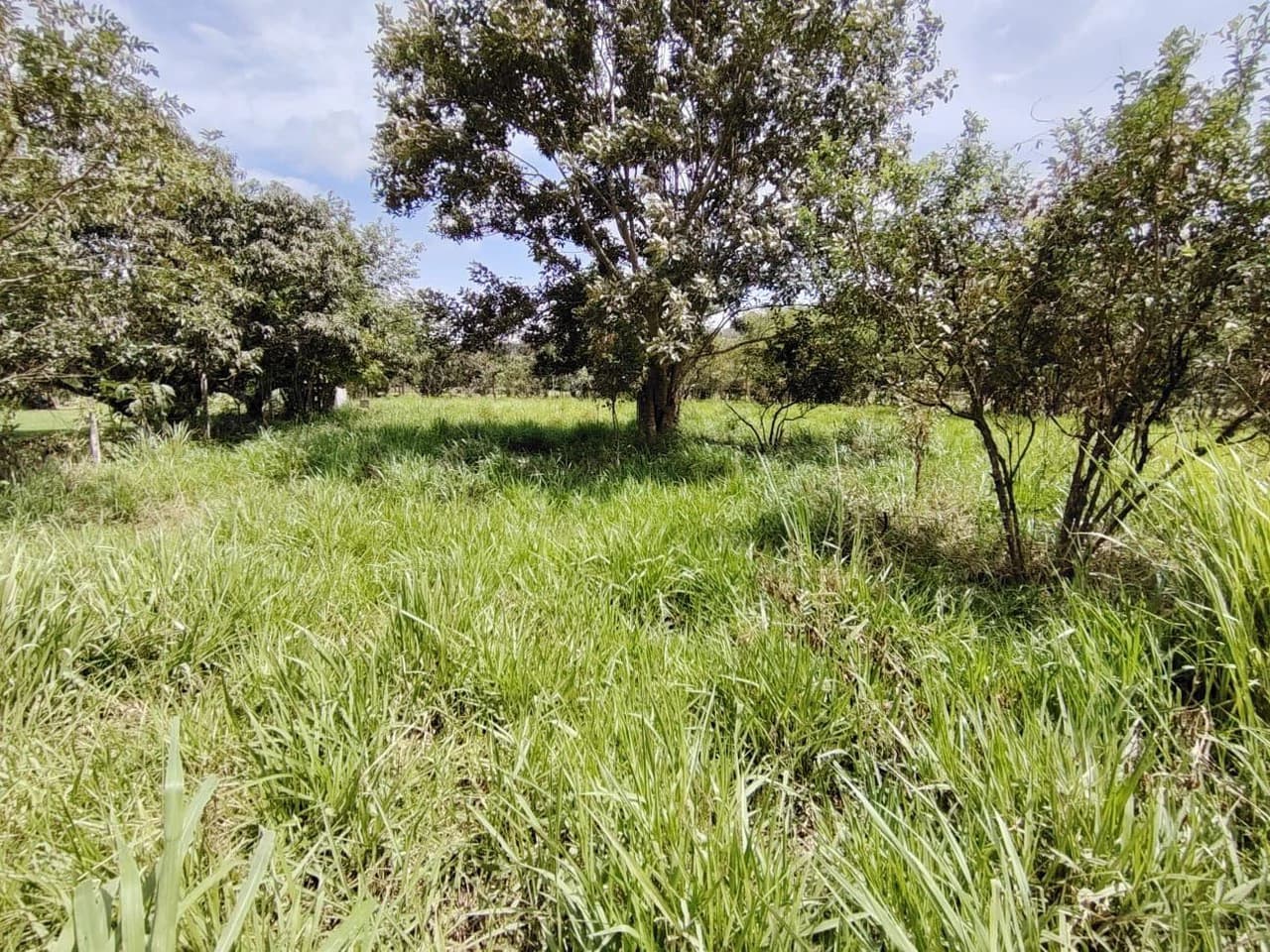 Se vende propiedad en el Rosario Pacuar, Pérez Zeledón.: Countryside Home Construction Site For Sale in Daniel Flores - photo 6