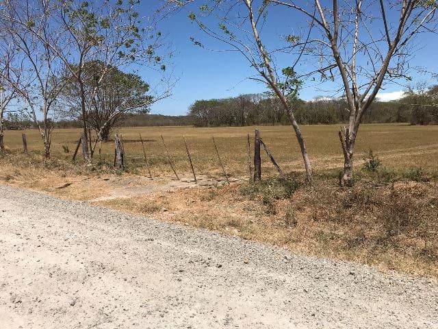 Huge terrain for sale in Guardia close to the International Airport of Liberia - photo 7