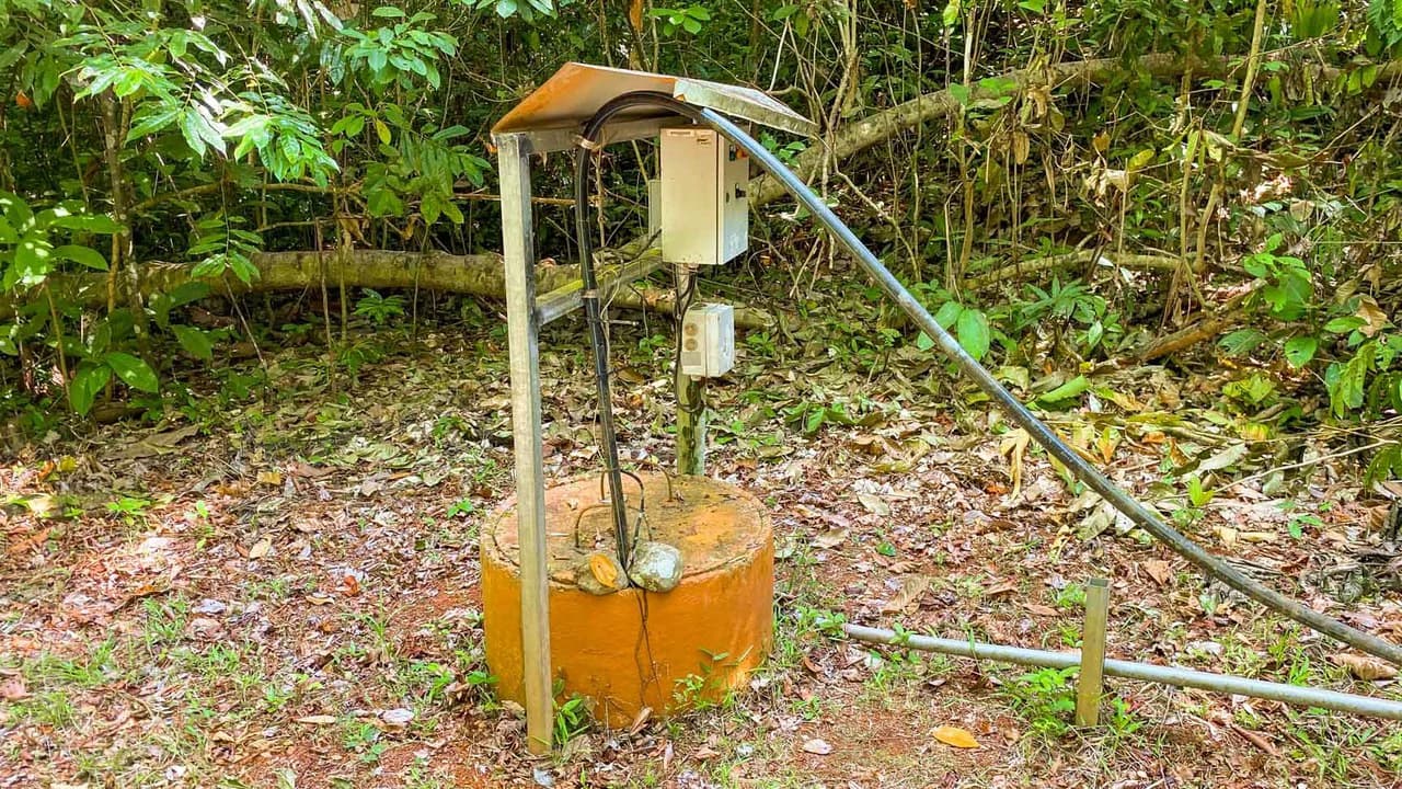 32 Acre Self Sustainable Farm with House Close Ojochal - photo 39