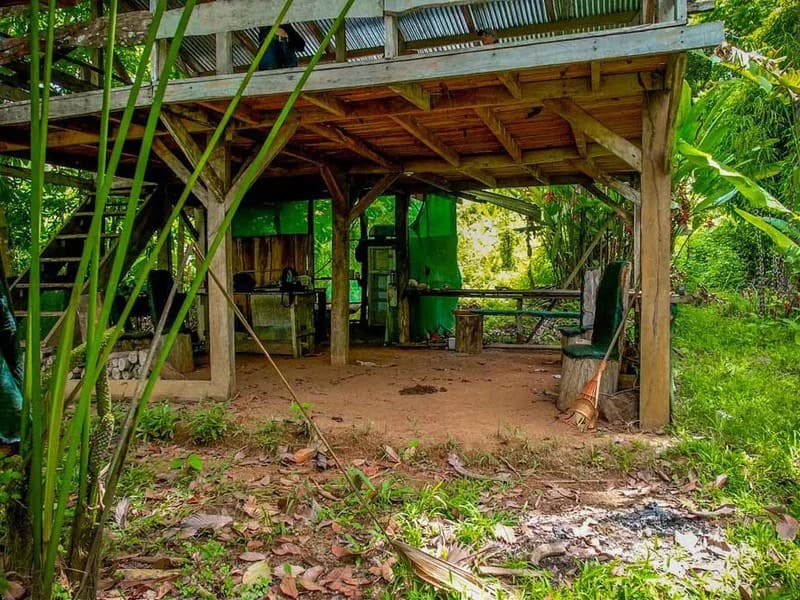 Golfo Dulce Waterfall Jungle Farm | A Nature Lover's Dream Come True - photo 2