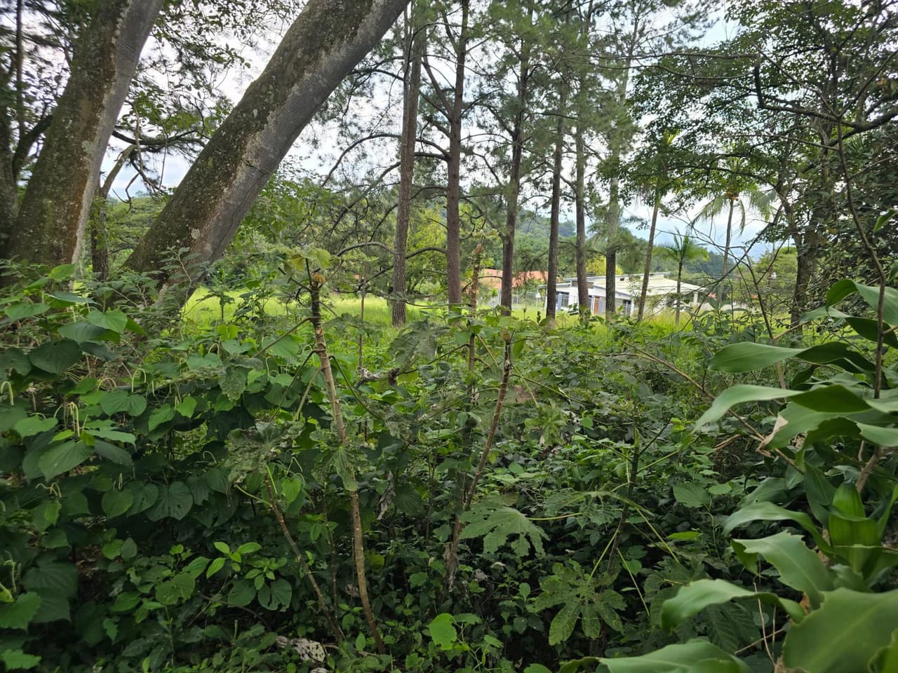Land for sale in Residencial Montisel - photo 8