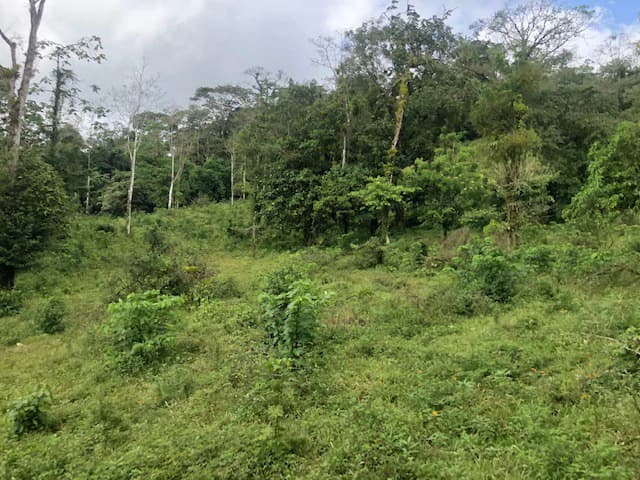 Hot and Cold Thermal Springs for Sale – Beautiful Property in Dos Ríos, Alajuela with Excellent Commercial Potential - photo 18