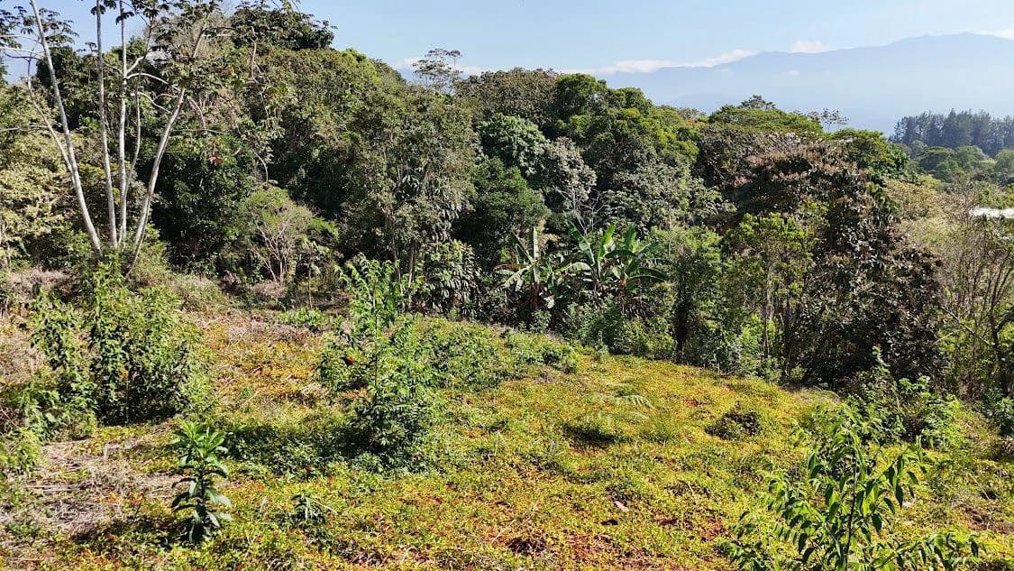 Home Construction Site For Sale in La Ceniza - photo 11
