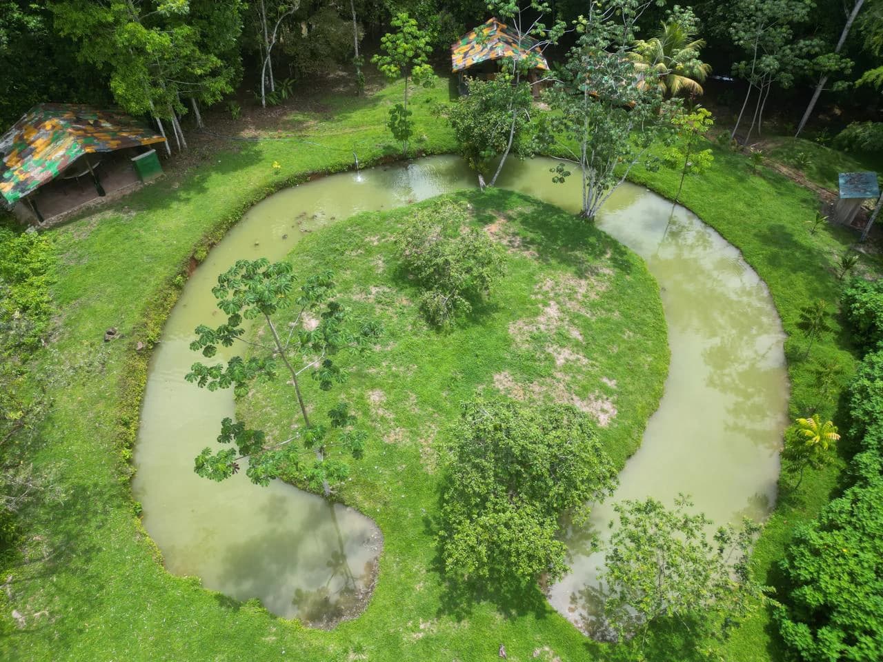 50 Acre Waterfall and River Paradise Above Dominical - photo 33