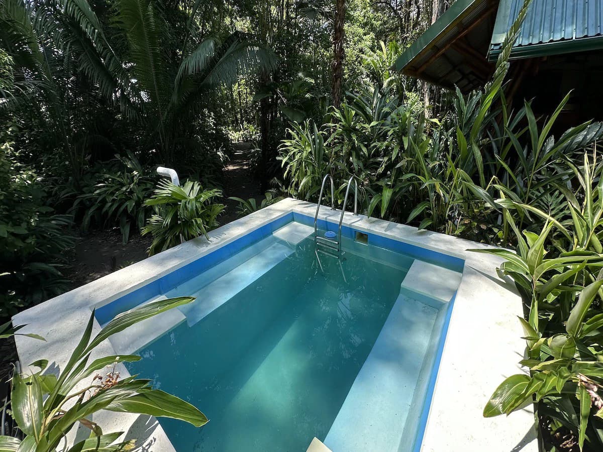 Jungle Beach Exotic Retreat - photo 8