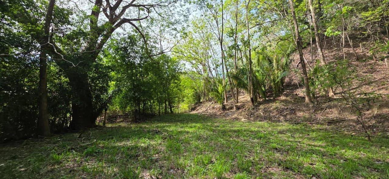 Lote Ceiba: Beautiful Peaceful Lot Near Barrigona Beach - photo 5