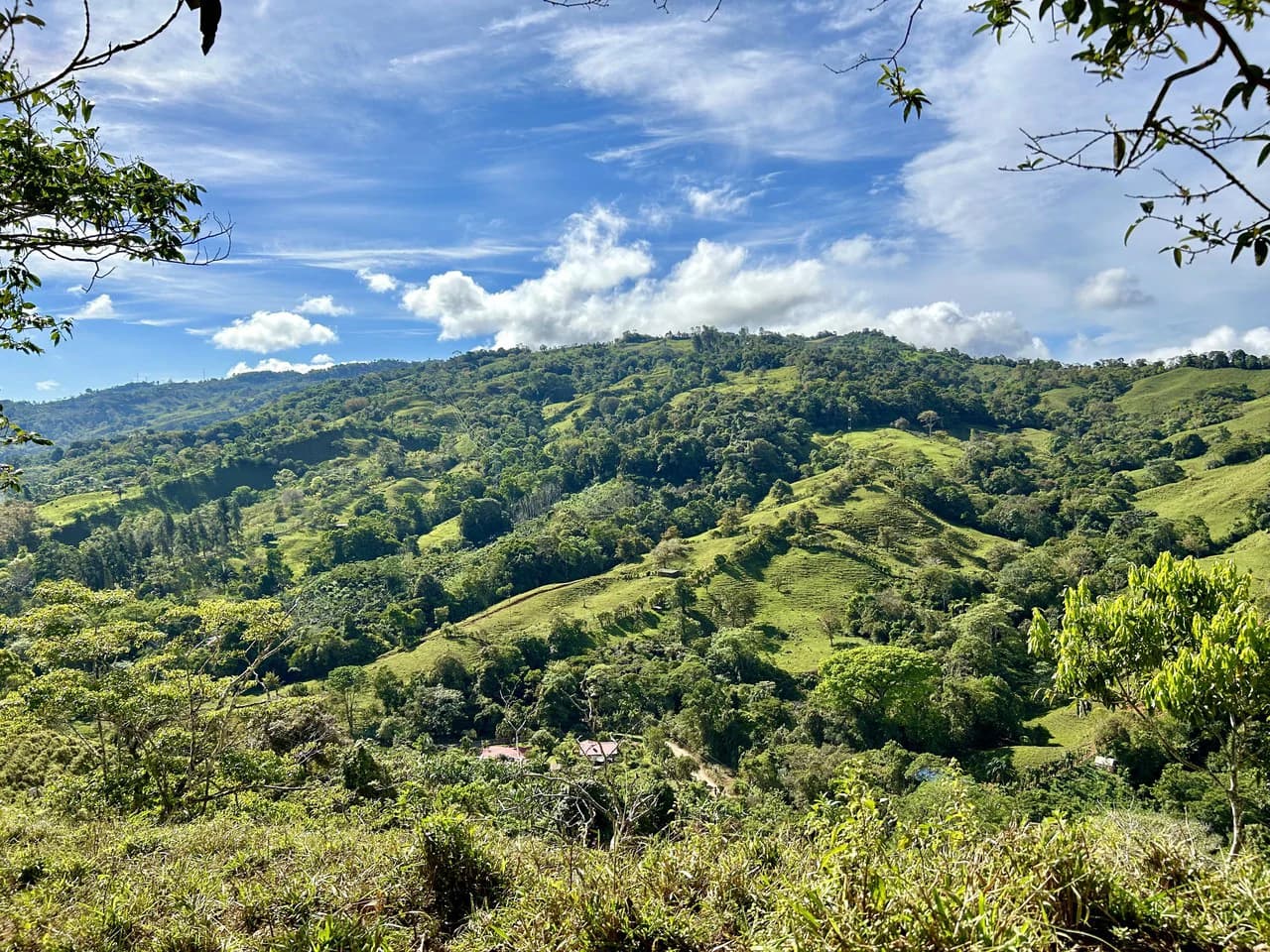 Finca Ceibo Memo: Mountain Home Construction Site For Sale in San Isidro del General - photo 26