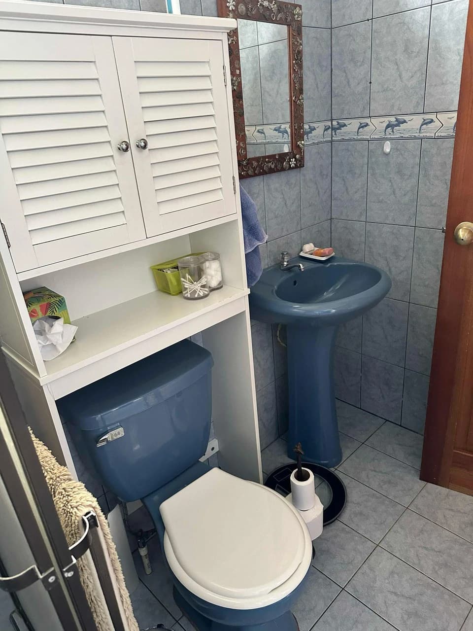 Mountain House For Sale in San Isidro del General - photo 10