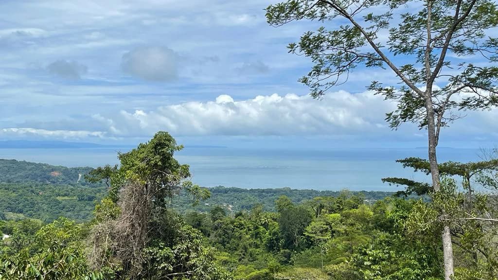 Eduardo Lee 17 Acres: Mountain Agricultural Land For Sale in Bejuco