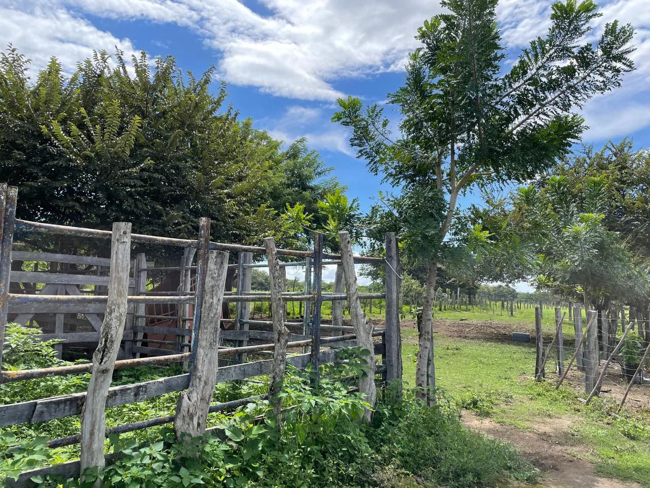 Airport Liberia Top commercial location huge property for sale - photo 9