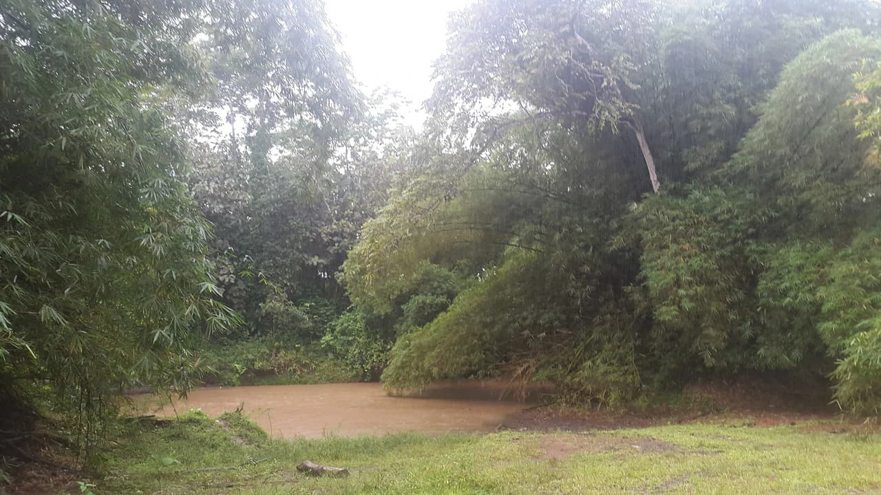 Countryside Development Parcel For Sale in Cariari - photo 19