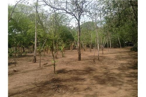 Commercial land in Guanacaste 0.87ha : 900701029-120 - photo 8