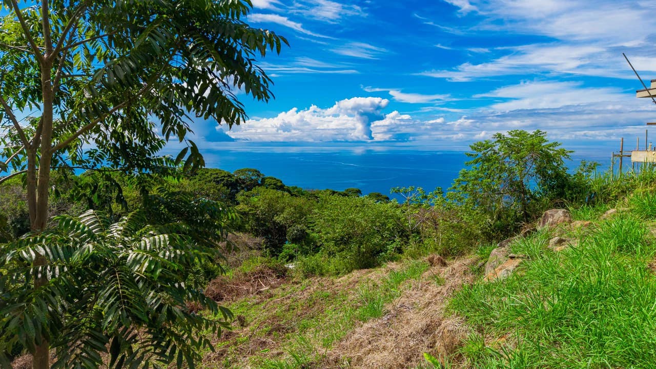 Luxury Ocean View Homesite in Escaleras Playa Dominical - photo 6