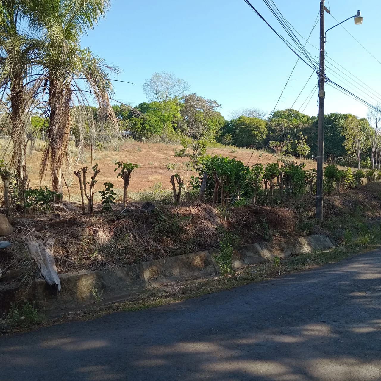Investment Opportunity in Labrador de San Mateo - photo 2