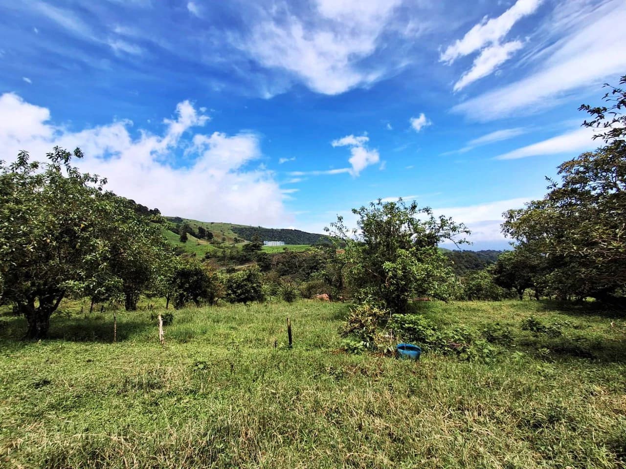 INVESTOR & DEVELOPER ALERT: High-Visibility Investment Property in the Heart of Tourist-Friendly Zarcero - photo 10