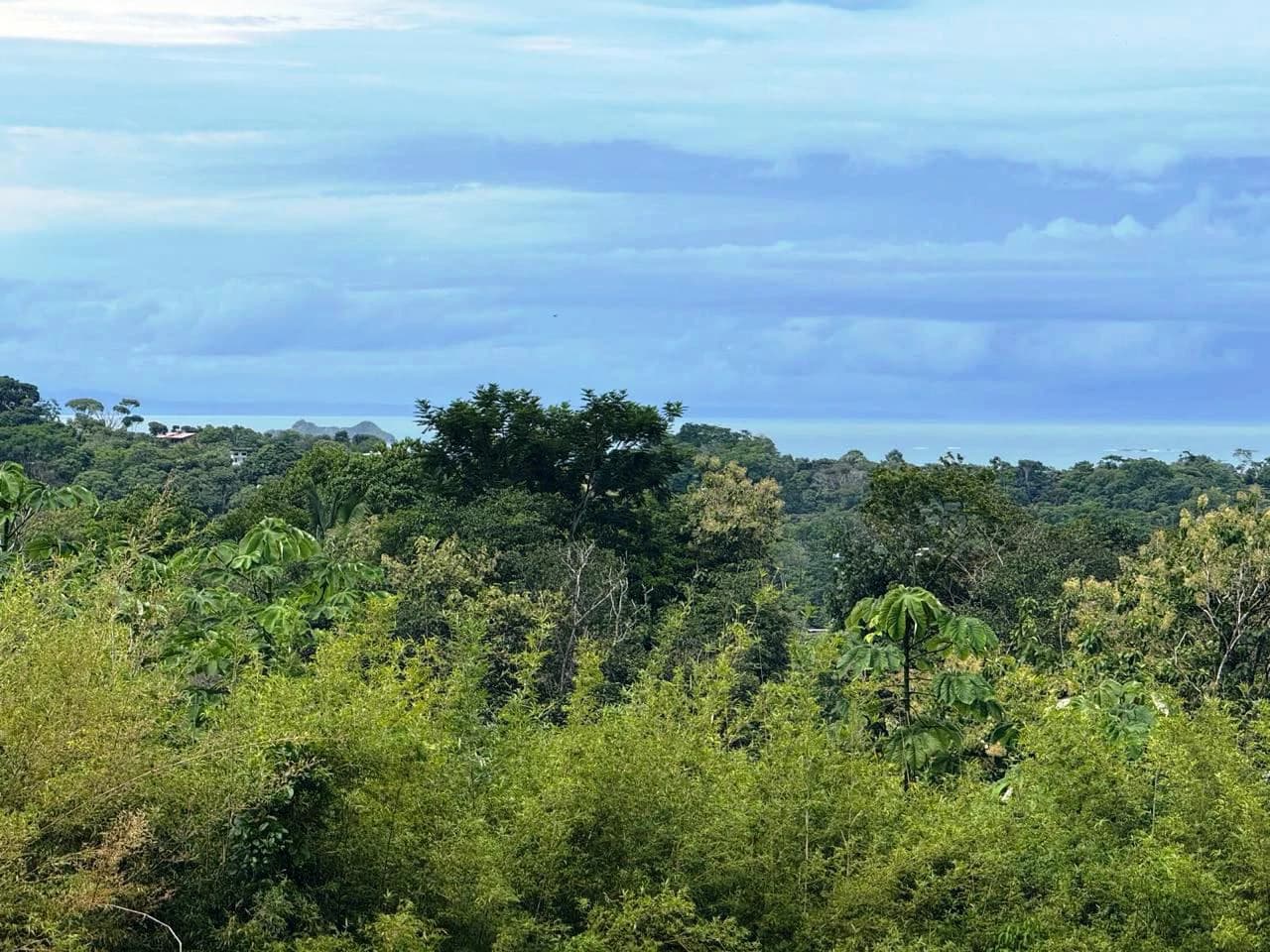 Prime Ocean View Development Property in Downtown Uvita - photo 17