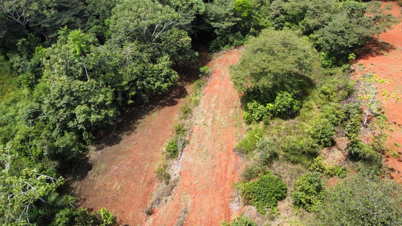 Se vende lote de 1000m2, ubicado cerca del colegio Aeropuerto Jerusalen, Perez Zeledon: Home Construction Site For Sale in Centro de Pérez Zeledón - photo 12
