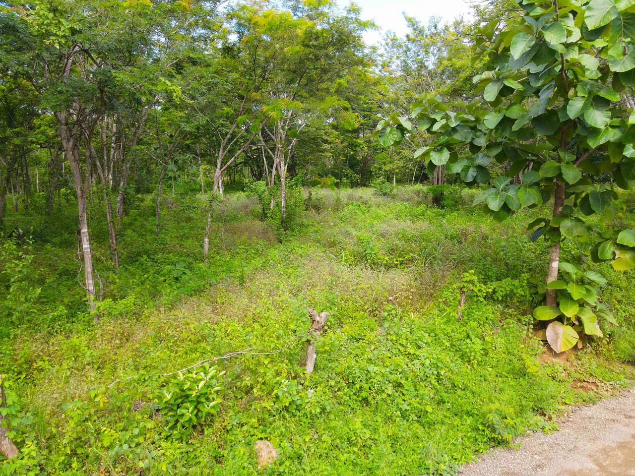 Finca Montecito: Ocean View Development Finca in Playa Avellanas - photo 16
