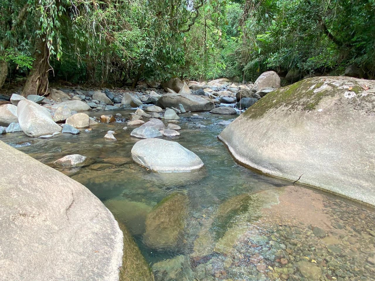 1.35 ACRES – Gorgeous View To The Valley, Mountain And City With A Large Building Site, Two Legal Water Sourses Ready To Build!!!: Mountain and Countryside Home Construction Site For Sale in San Isidr - photo 26
