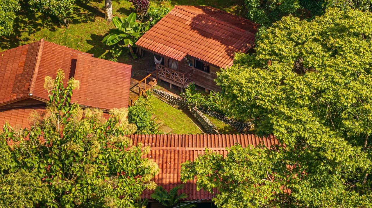 A Jungle House Built of Wood & River Dreams - photo 3