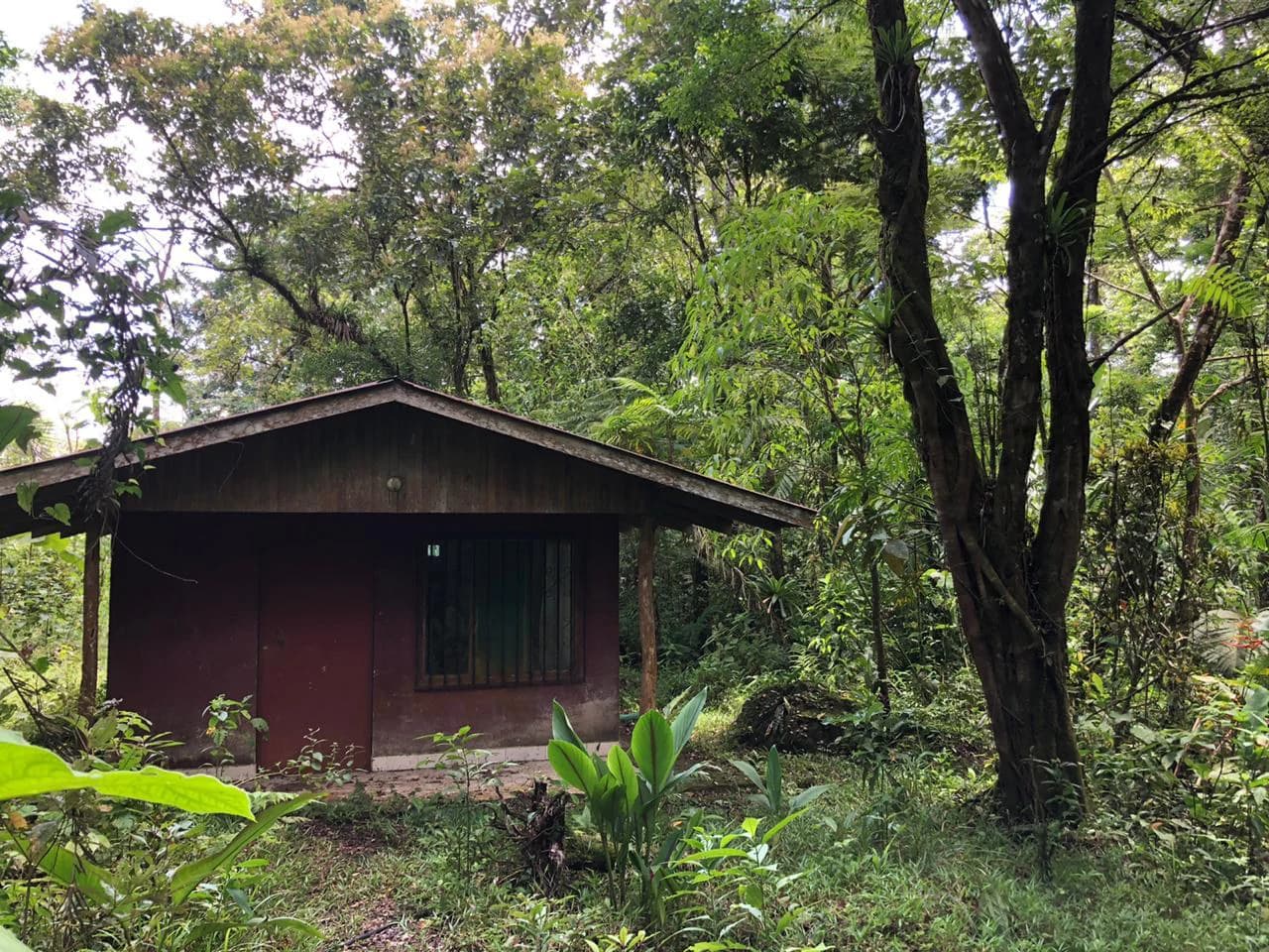 Hot Springs Property in Dos Ríos de Upala – Excellent Investment Opportunity - photo 34