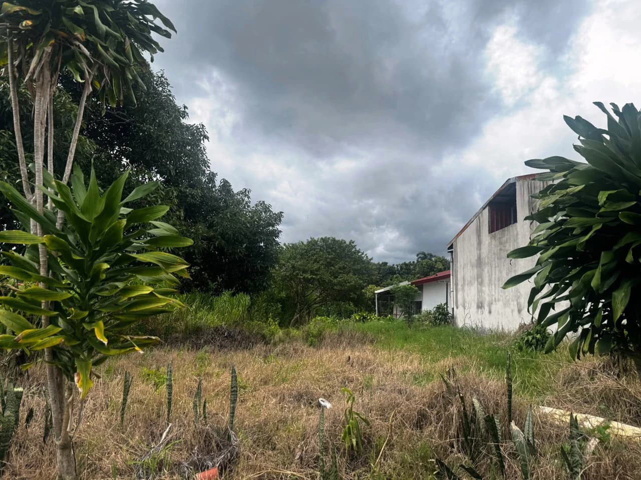 Beautiful Homesite: 657 m2 nature lot! - photo 5