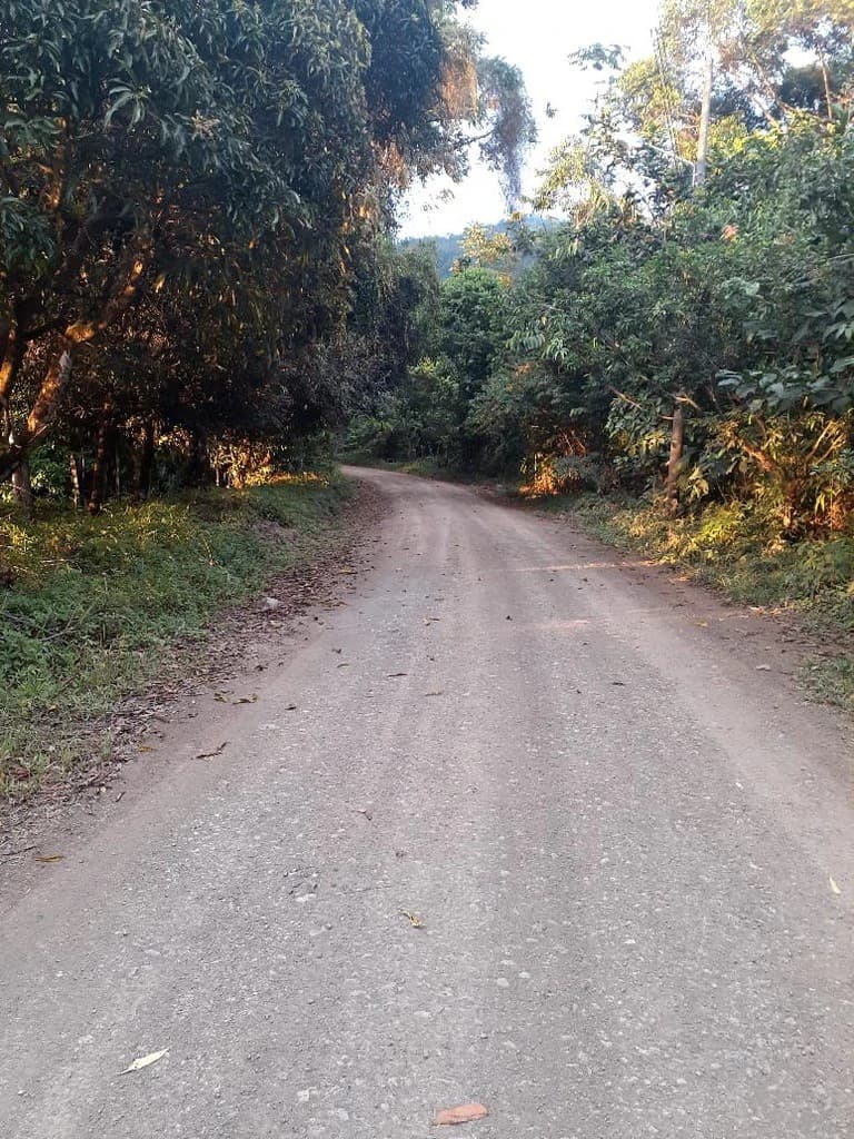 SECLUDED PARADISE WITH STUNNING VIEWS, WATERFALLS & ABUNDANT WILDLIFE - photo 44