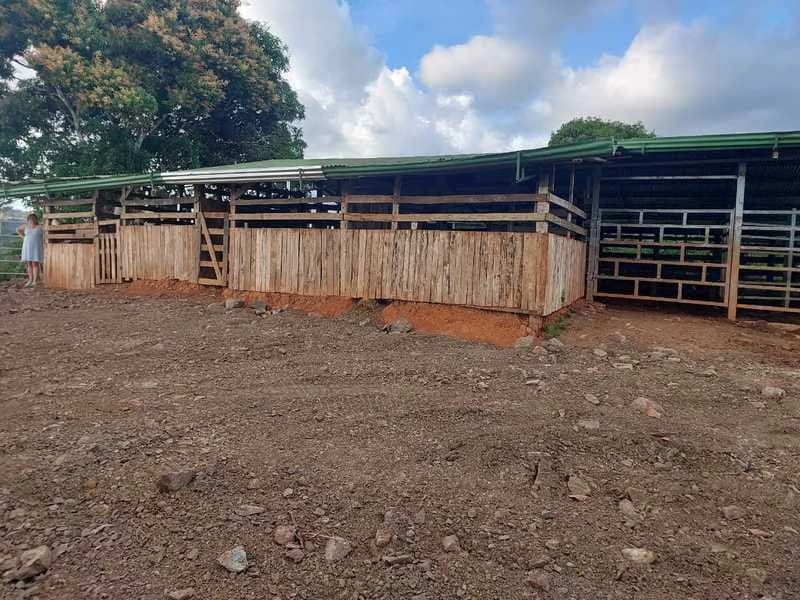 Livestock Farm | Titled property located in Santa Eduviges - photo 27