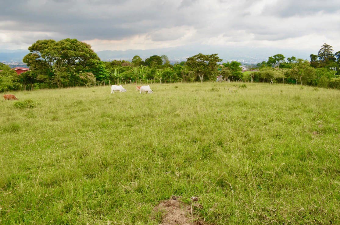 Lote con hermosas vista al valle central Costa Rica: Land for sale in Heredia San Isidro Heredial. - photo 10