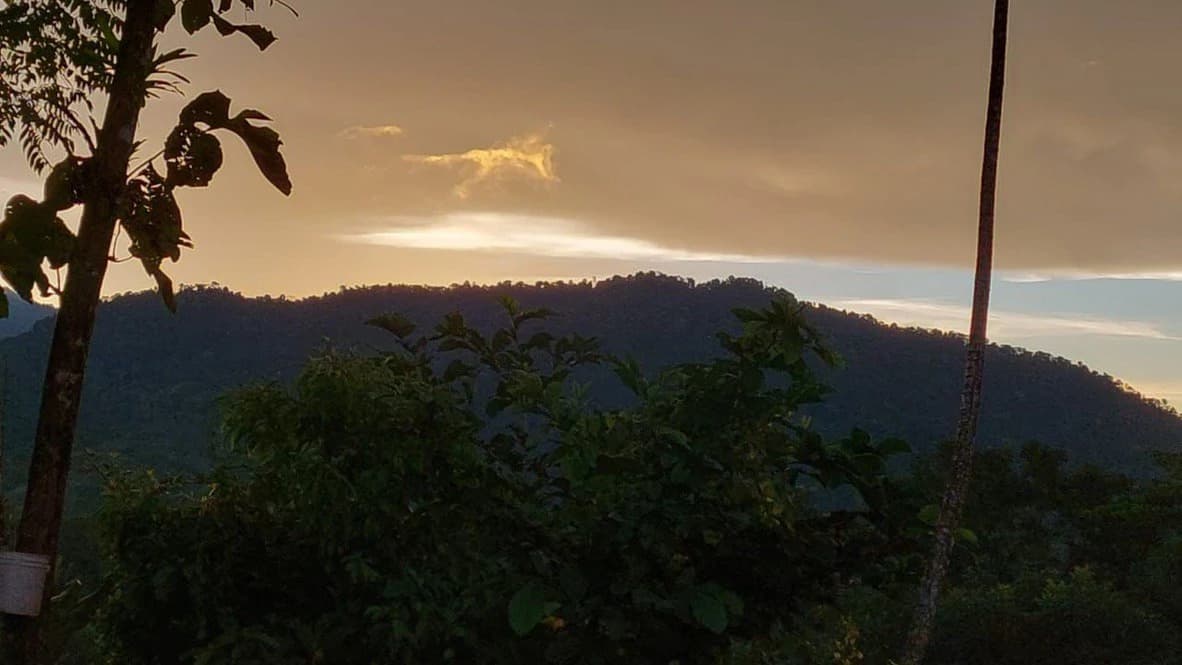 SECLUDED PARADISE WITH STUNNING VIEWS, WATERFALLS & ABUNDANT WILDLIFE - photo 11