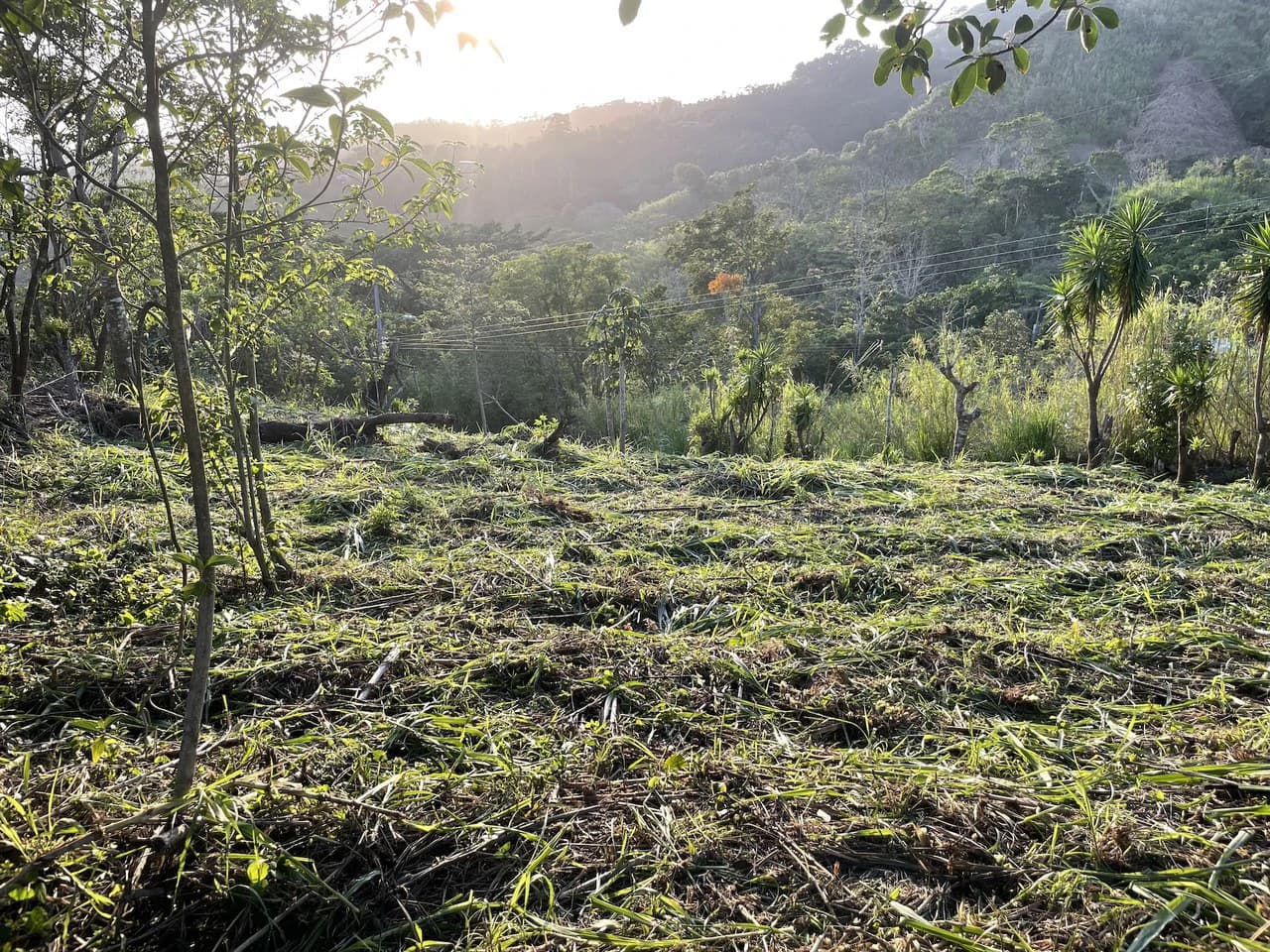 Eco-Lot #1: Ready-to-Build Sustainable Haven with Gulf & Mountain Views - photo 5