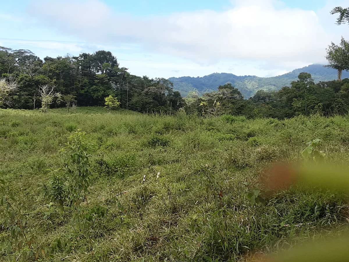 Finca Tesoro Escondido - The Jewel of Uvita - photo 57