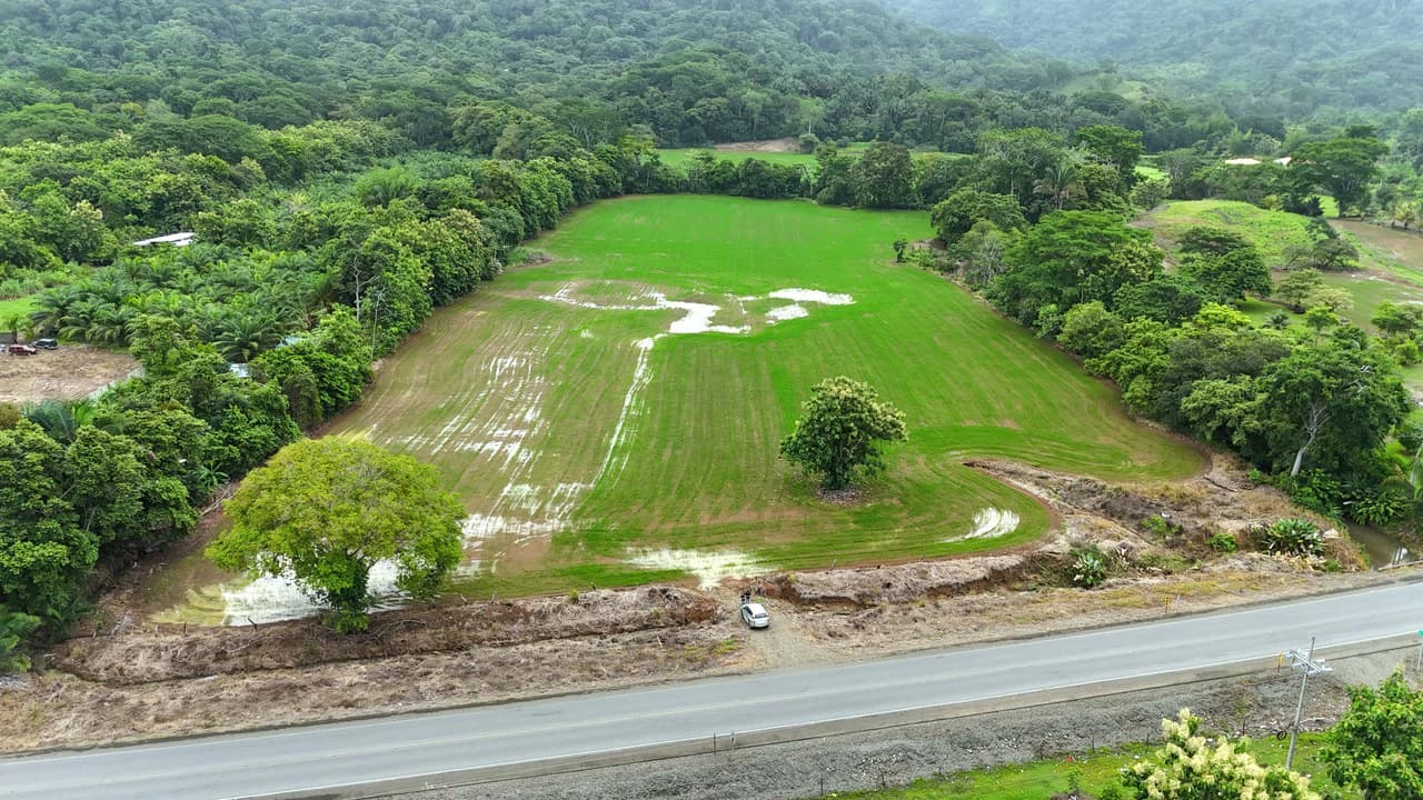 Near the Coast Agricultural Land For Sale in Matapalo - photo 8