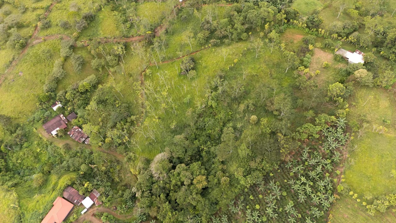 Se vende 6acres en San Antonio de Rivas, Pérez Zeledón: Countryside Home Construction Site For Sale in San Isidro del General - photo 12