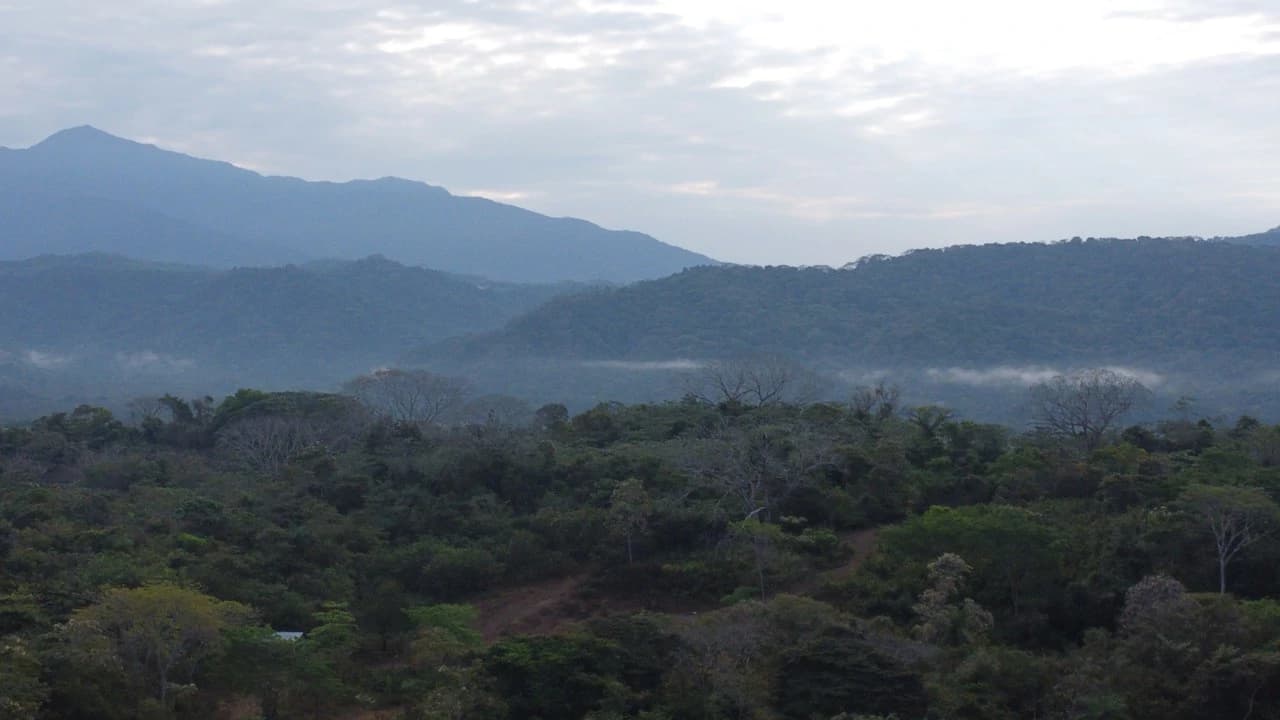 Costa Rica Ocean View 162 Acres -2 Approved Wells - 300+ Lots- 18M+ Upside - Under $5M² - photo 11