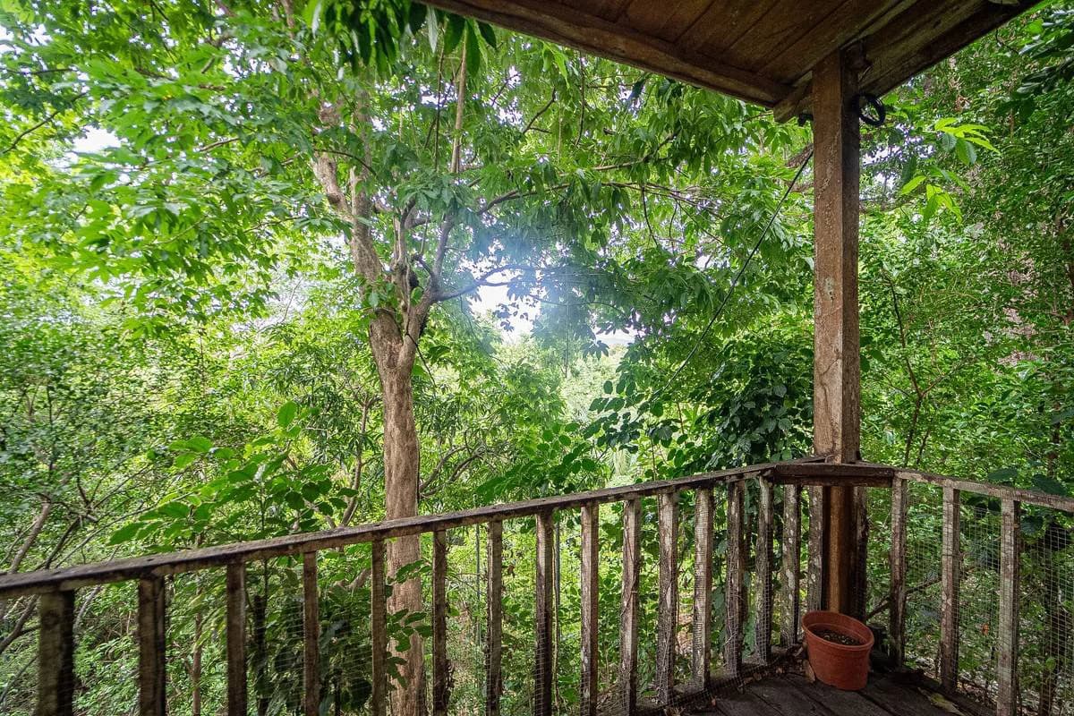 Casa La Choza: Affordable Tiny Home with Expansion Potential, Just a 5-Minute Walk from Buenavista Beach - photo 14