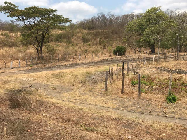 Great opportunity: Big property in Palmira de Carrillo - photo 7