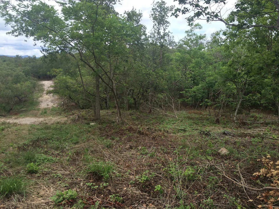 Finca grande: Economic Building property for sale in El Salto, with private access to the surrounding beautiful nature with own river - photo 14