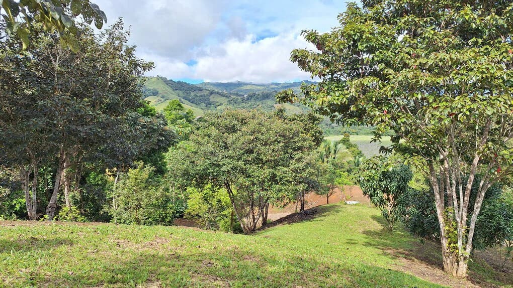 Countryside Home Construction Site For Sale in El Rosario de Pacuar - photo 4