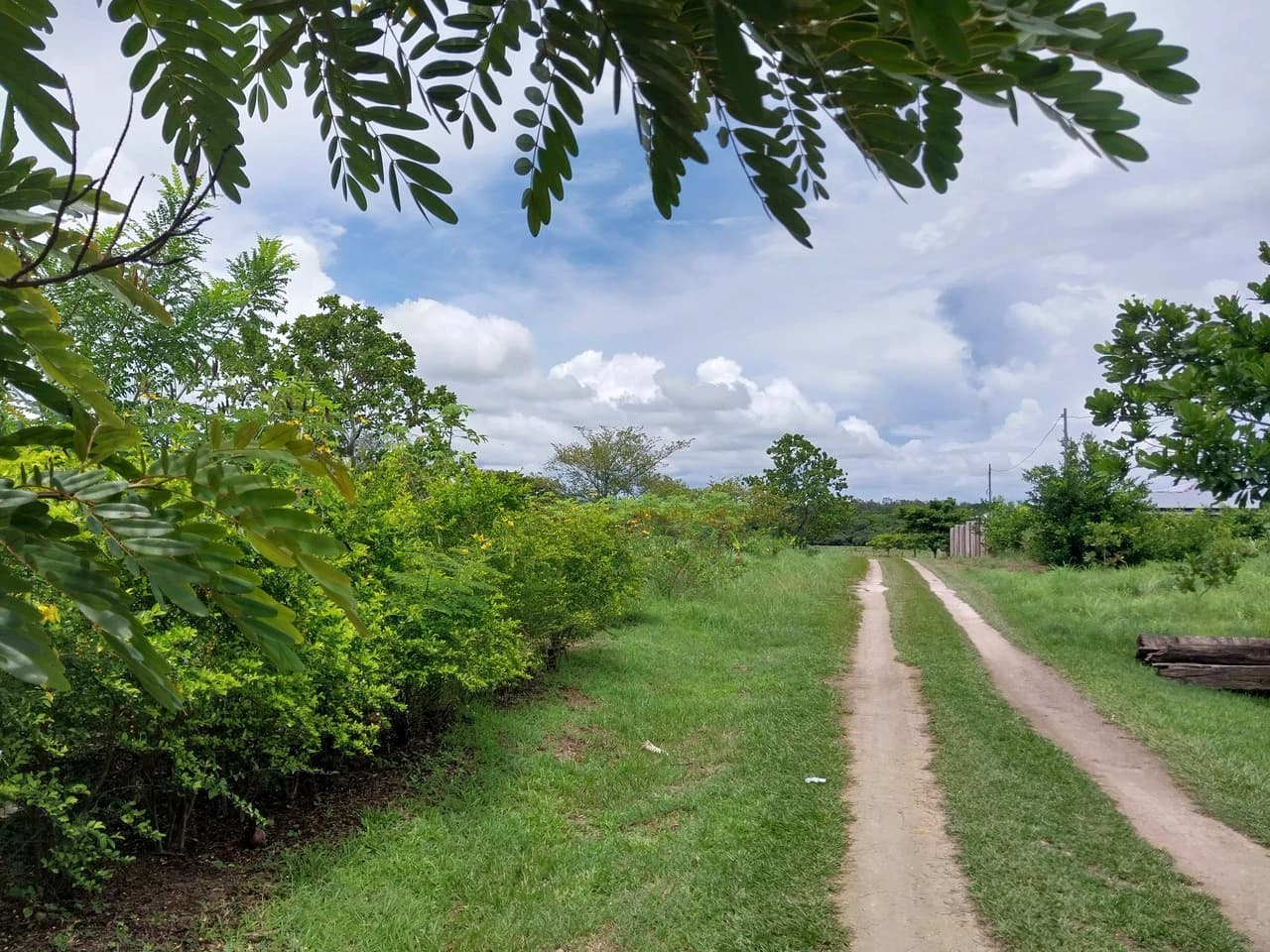 T-182: Volcano view and lot for Sale in Liberia - photo 5