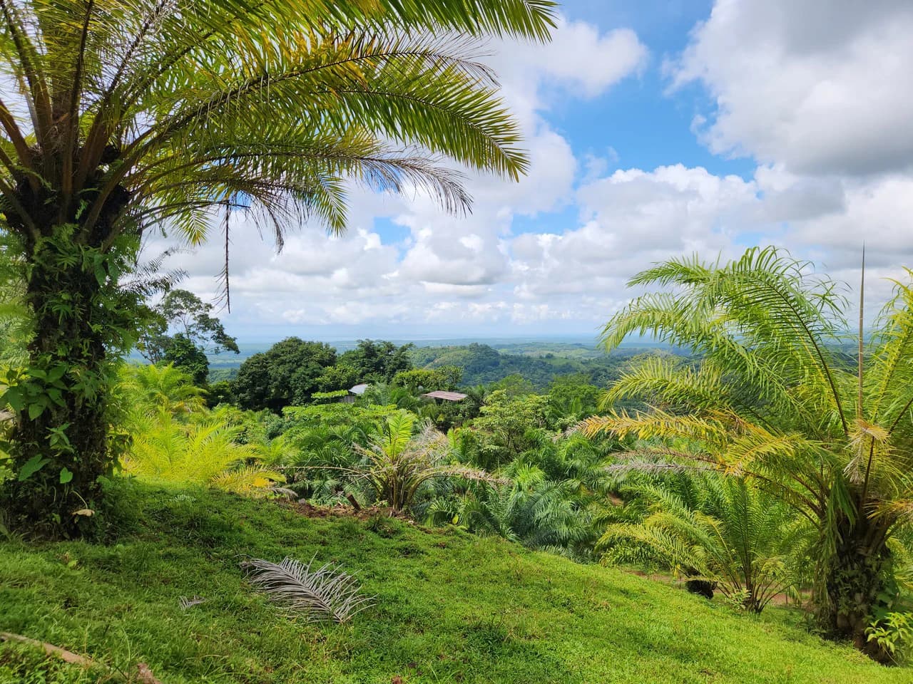 PRIME PARRITA FARM FOR SALE - photo 2