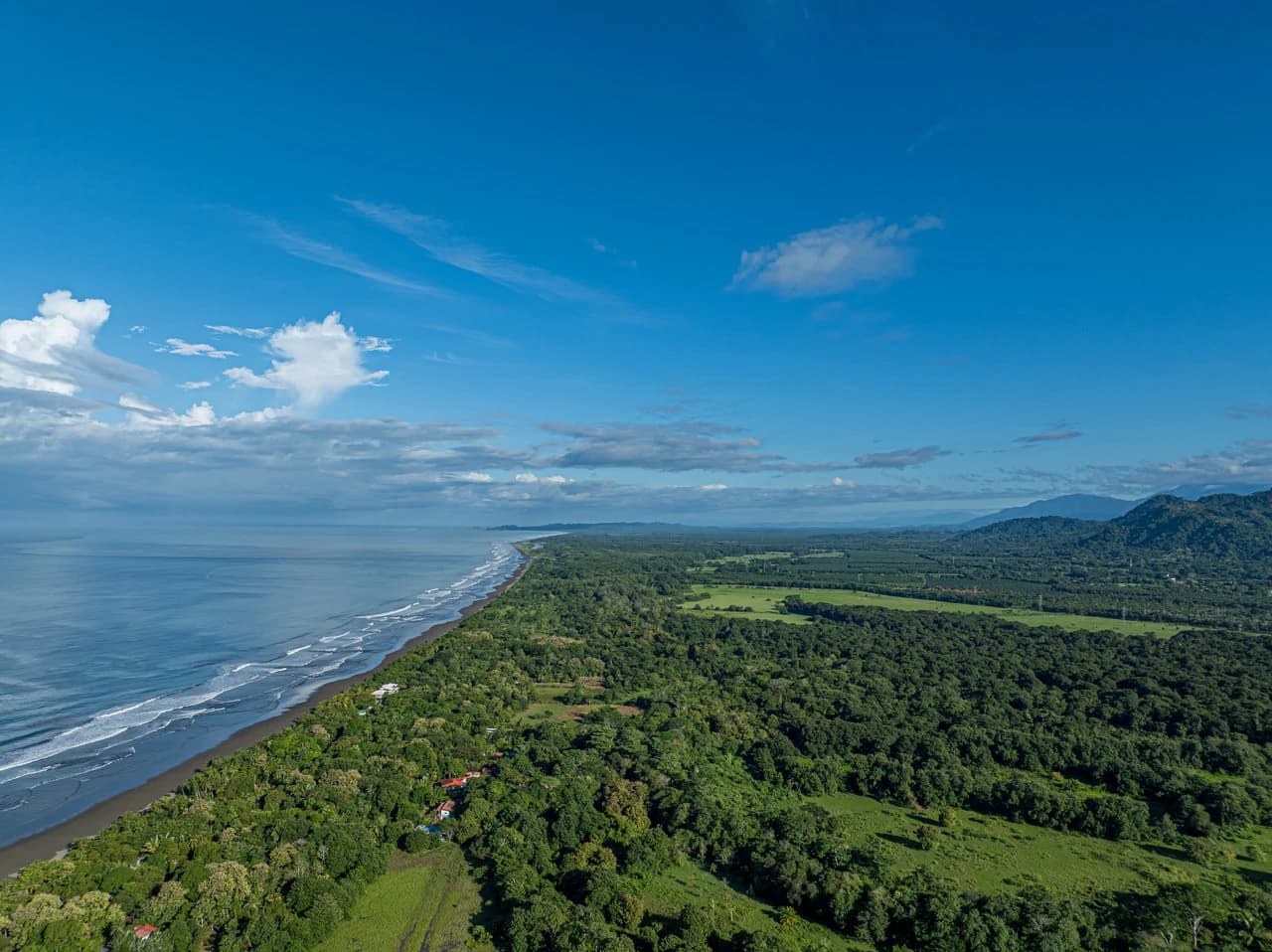Casa Tortuga: New Home Just 3 Minutes Walk From Playa Matapalo - photo 8