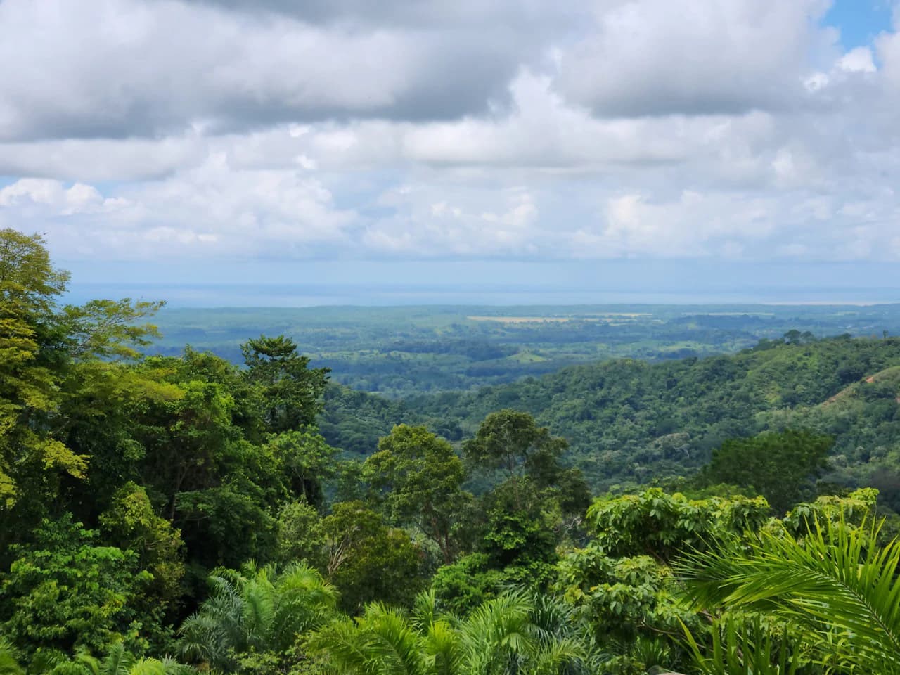 PRIME PARRITA FARM FOR SALE - photo 11