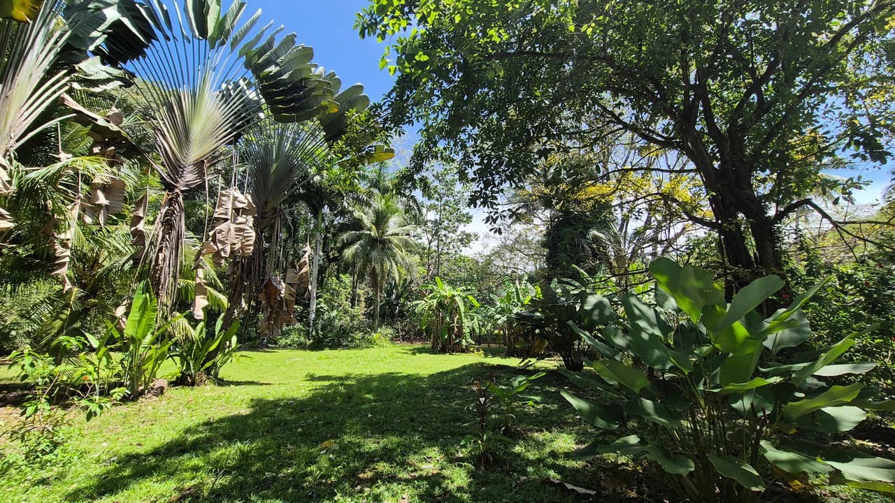 Dream Beachfront Property at Ballena Beach in Uvita, Costa Rica - photo 20