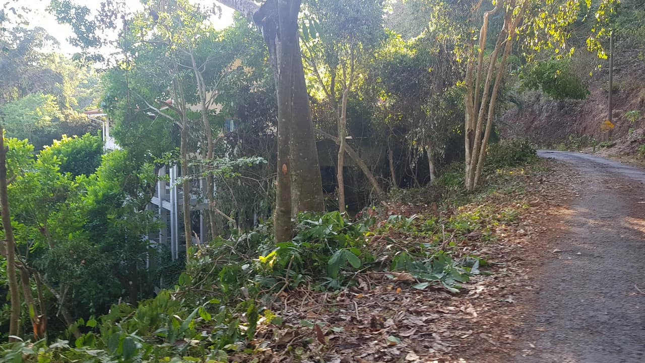 Building Lot in Manuel Antonio, Surrounded by Nature - photo 8