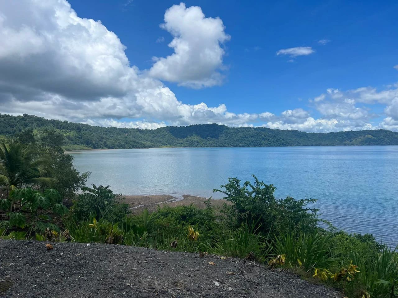 Finca La Palma, Puerto Jimenez: Excellent location ideal for development - photo 15