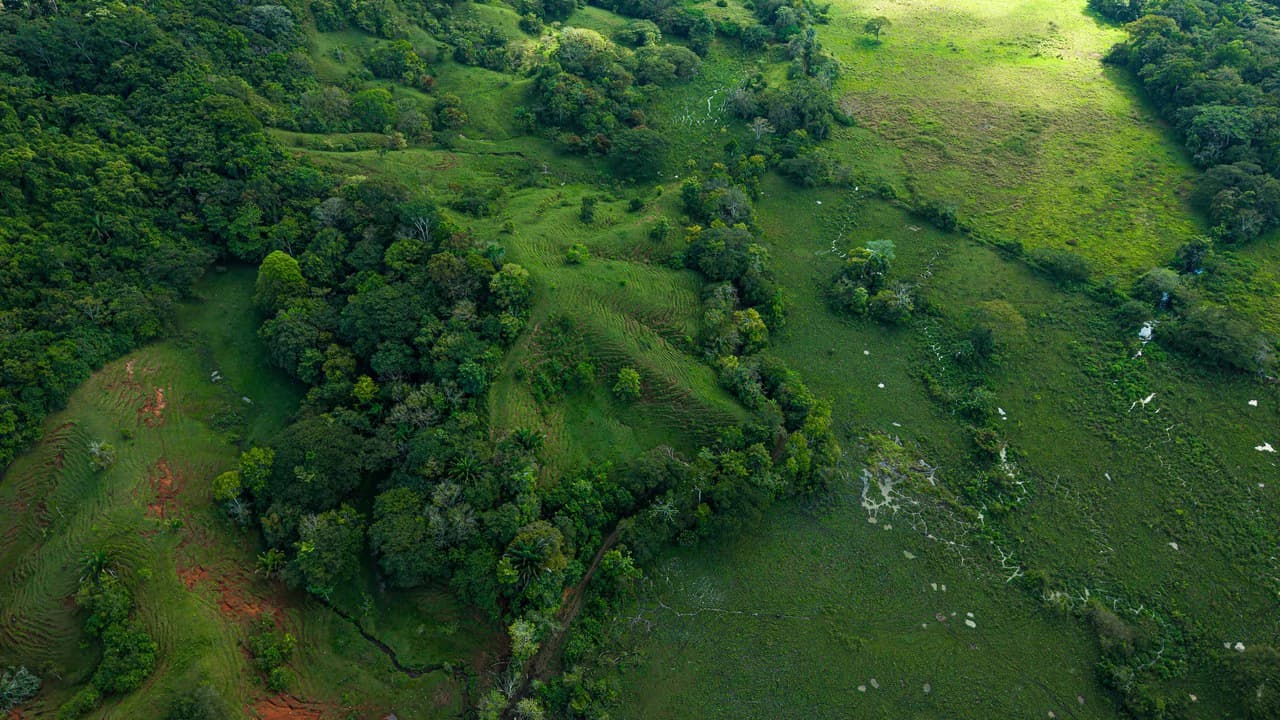 4,850 Acre Beachfront Legacy Ranch Esterillos Central Pacific Coast - photo 14