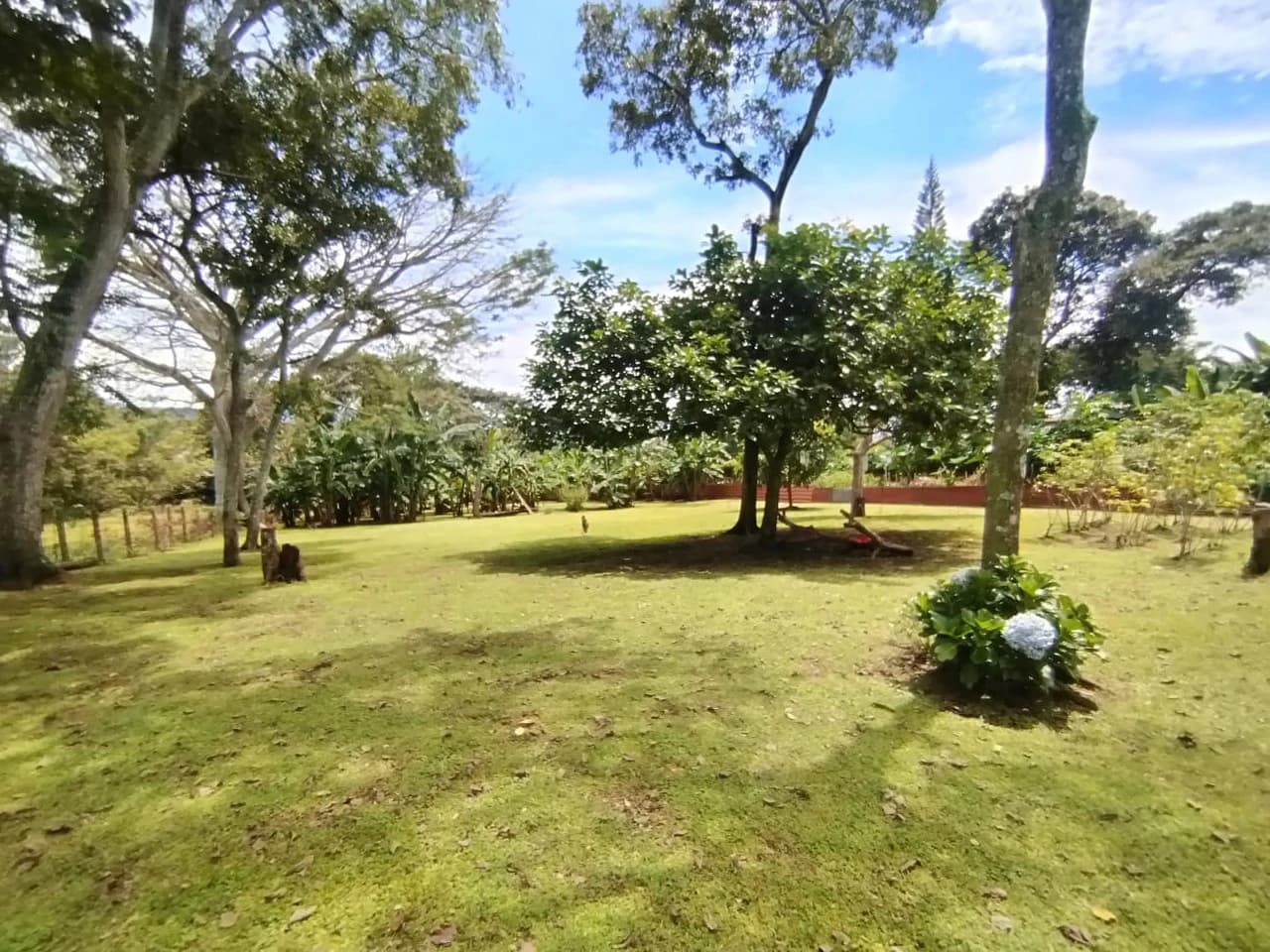 Natural Urban Escape: Home in the city with land! - photo 7